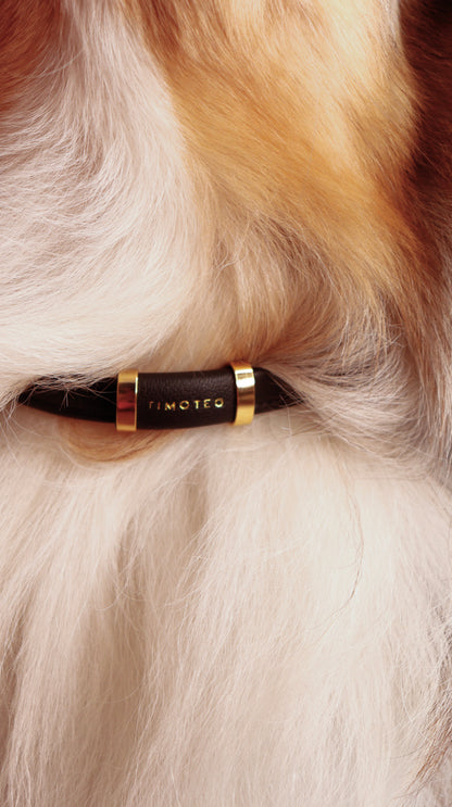 COLAR PET